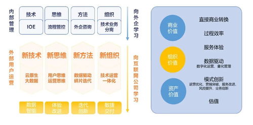 企业信用等级，构建信任的桥梁