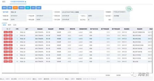 企业工资表格式，构建高效薪酬管理的基石