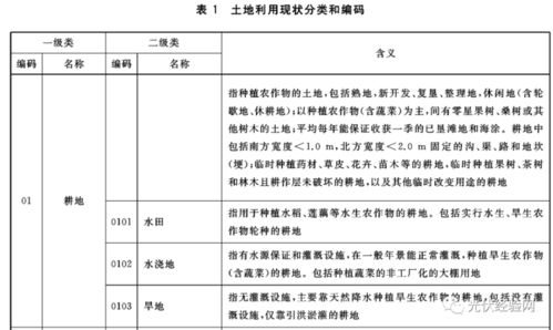 土地现状分类，解析土地资源的多样性与管理挑战