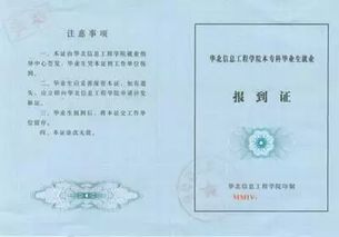 报到证与派遣证，职场新兵的指南针