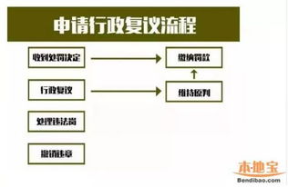 泰安违章车辆查询，了解流程、掌握技巧、维护权益