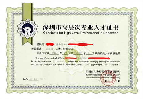 深圳市人才认定办法，打造人才高地的策略与实践