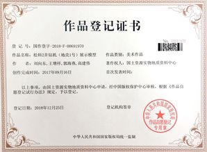 上海软件著作权，保护创新的法律盾牌