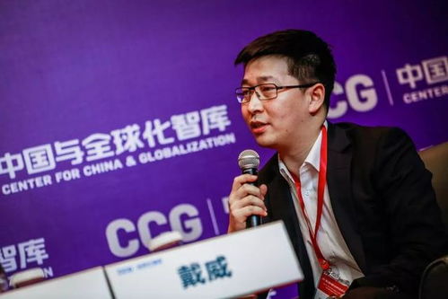 戴威被限制消费，企业责任与个人信用的双重考验