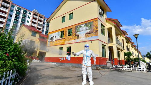 疫情新动态，31省新增本土233例，防控措施升级与公众应对指南