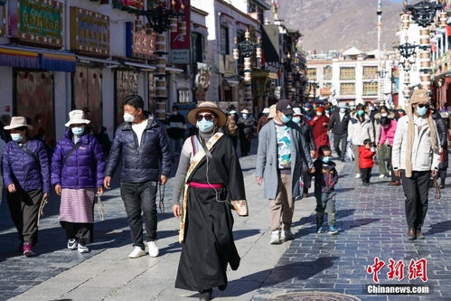 海城疫情最新动态，防控措施与市民生活现状