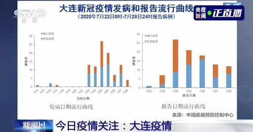 揭秘疫情蜘蛛网，如何通过497个病例关系图洞察病毒传播路径