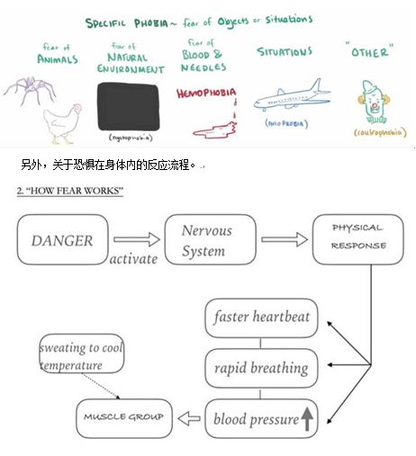 全面解读，出国留学考试的奥秘与准备策略