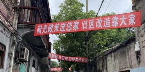 虹口区民政局，社区的桥梁，居民的守护者