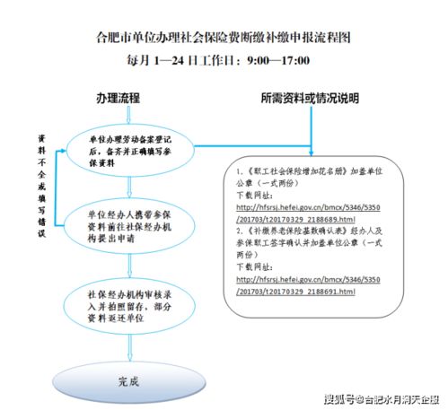 养老保险补缴，政策解读、操作流程与常见问题解答