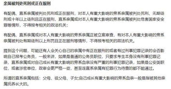 公务员政审，深入了解与应对策略