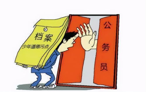 公务员政审，深入了解与应对策略