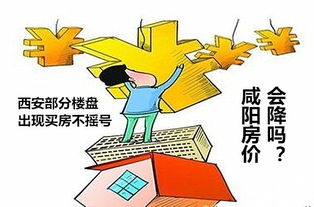 解锁市场活力，取消限购令的深远影响