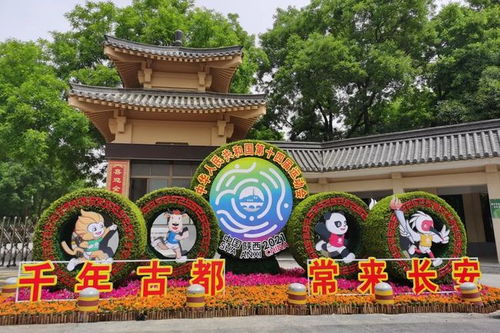 东莞疫情最新动态，防控措施、影响及未来展望