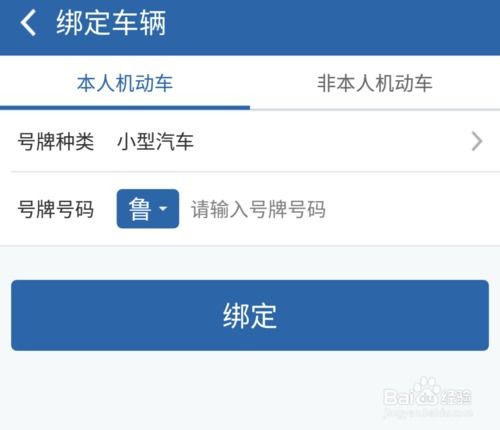 滨州车辆违章查询，简单步骤与实用技巧
