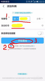 滨州车辆违章查询，简单步骤与实用技巧