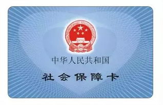 全面指南，如何轻松查询社保卡余额及常见问题解答
