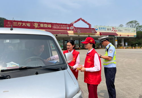 高速公路测速仪，守护安全的速度守卫