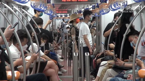 朝阳战疫，最新动态与防控措施全解析