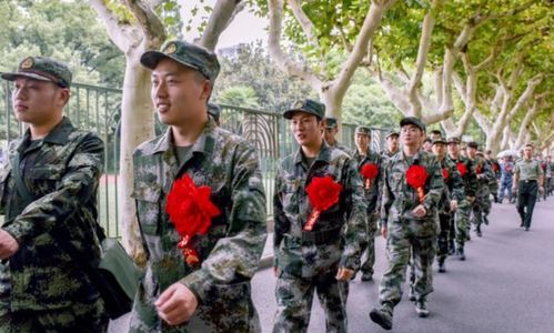 探索军旅生涯，深入了解当兵的条件与要求