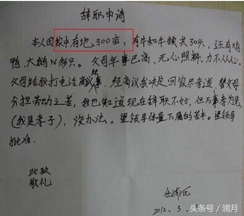 如何撰写一封专业而礼貌的离职信