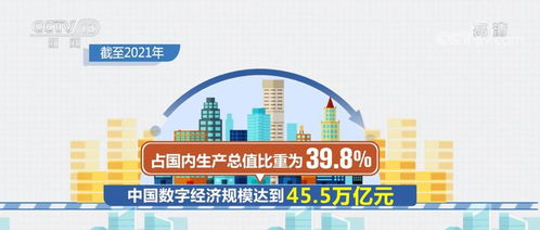 上海市商务委员会，推动商业繁荣与经济发展的引擎