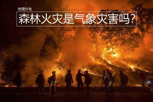 平顶山火灾，一场灾难的警示与反思