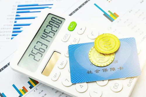 养老保险接续，保障未来，连接过去与现在