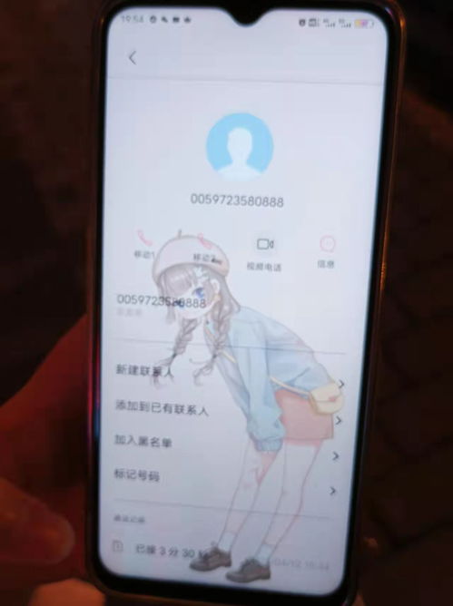 深入了解身份证号码，如何查询、保护及识别真伪