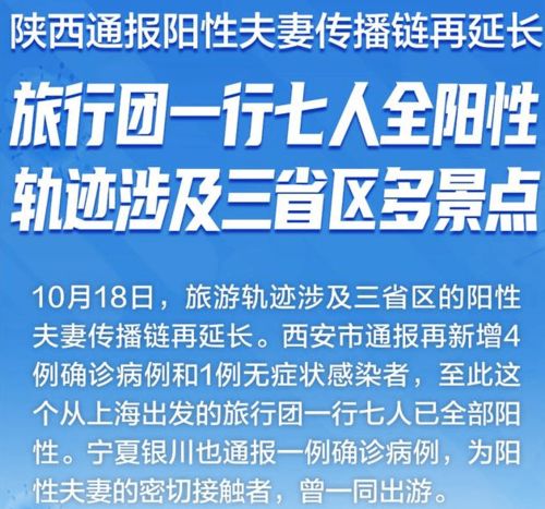 上海旅行团7人阳性事件，深入解析与旅行安全指南