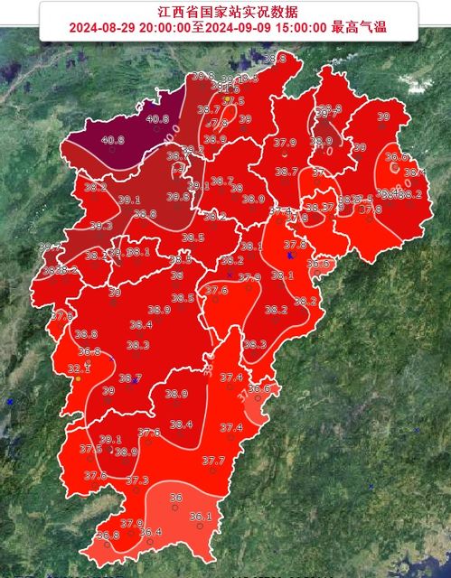 松原市政府，引领区域发展的引擎