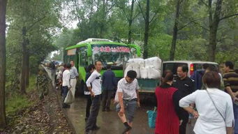 交通事故现场图片，解读与启示