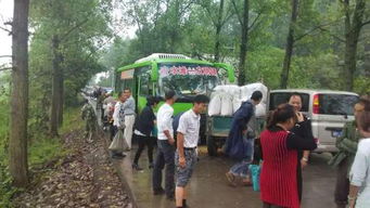 交通事故现场图片，解读与启示