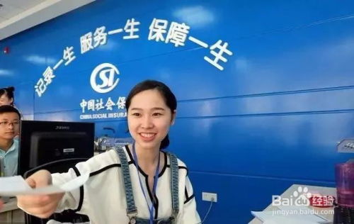 养老保险个人账户查询全攻略，如何轻松掌握您的退休金动态