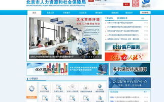 养老保险个人账户查询全攻略，如何轻松掌握您的退休金动态