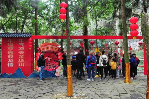 兰州疫情最新动态，防控措施升级，市民生活有序进行