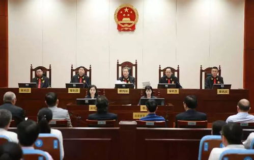 顾雏军案，中国资本市场的惊天大案与法治进程的反思