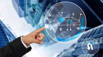 上海市车辆管理所，一站式服务与车辆管理的现代化进程