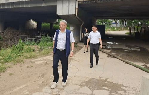 进出口食品备案，保障食品安全的国际桥梁