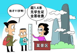 深入了解儿童票标准，公平与便利的平衡