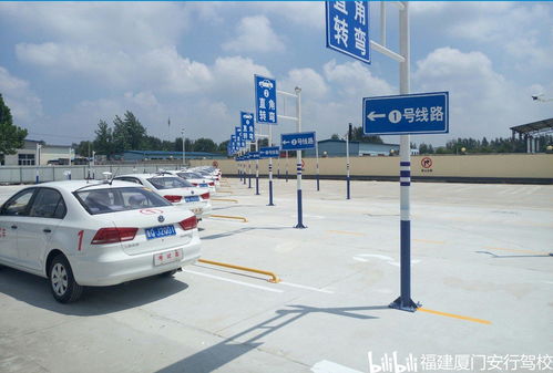 廊坊阳光驾校，驾驶技能的摇篮，安全出行的起点