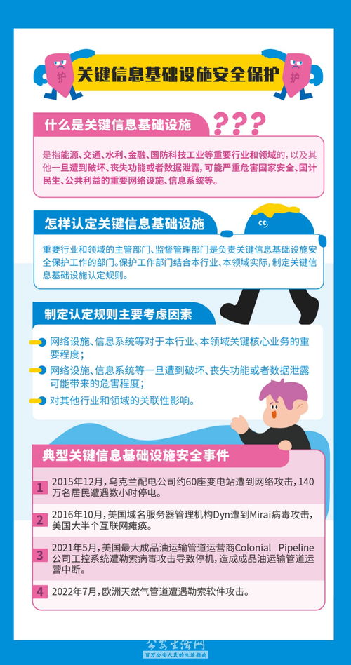 社会保障基础知识，构建社会安全网的基石
