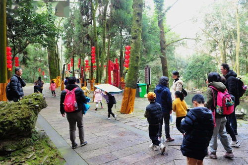 张家口疫情最新动态，防控措施升级，市民生活有序进行