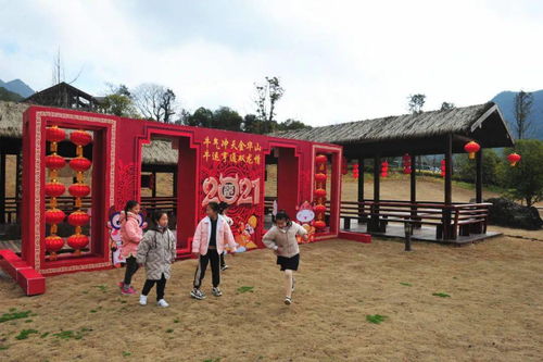 张家口疫情最新动态，防控措施升级，市民生活有序进行