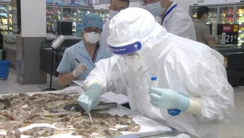 检验检疫费，保障食品安全与健康的经济防线