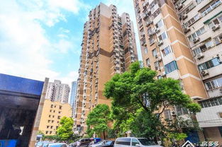 香港二手房，城市心脏中的温馨家园