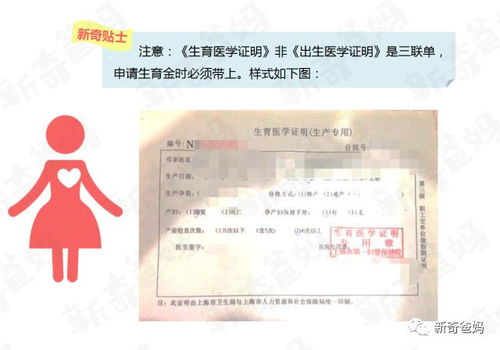 失业金领取全攻略，条件、标准与申请流程