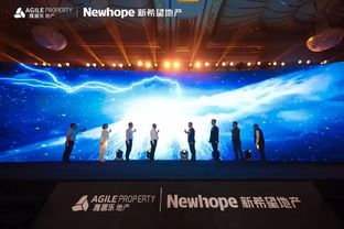 打造梦想家园，房地产经营管理的艺术与科学