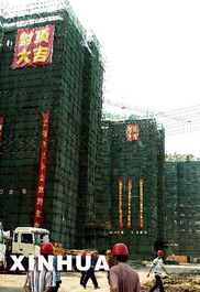 经济适用房货币补贴，实现住房公平的桥梁