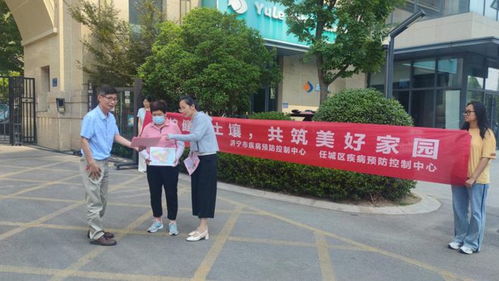 葫芦岛疫情最新情况，共同守护健康家园